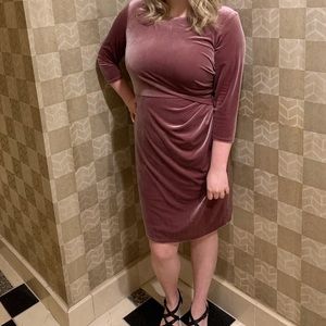 Eliza J velvet plus size dress